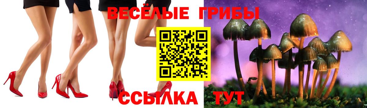 Псилоцибиновые грибы прущие грибы Переславль-Залесский